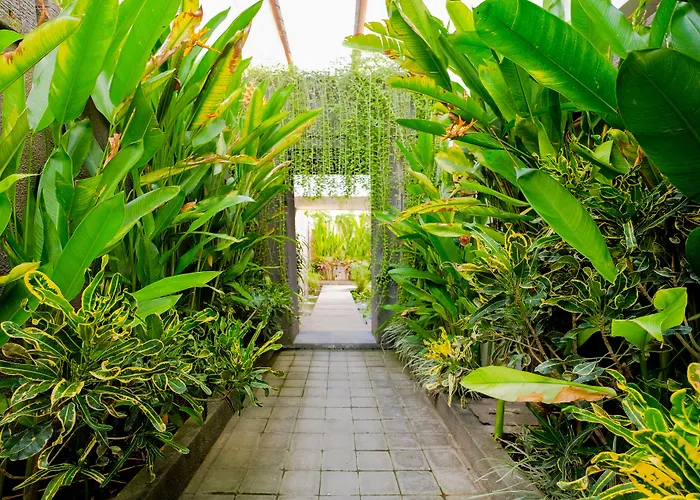 Papillon Echo Canggu (Bali)